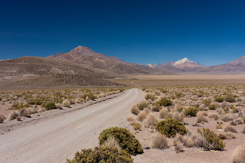 Chile - Isluga Volcano National Park