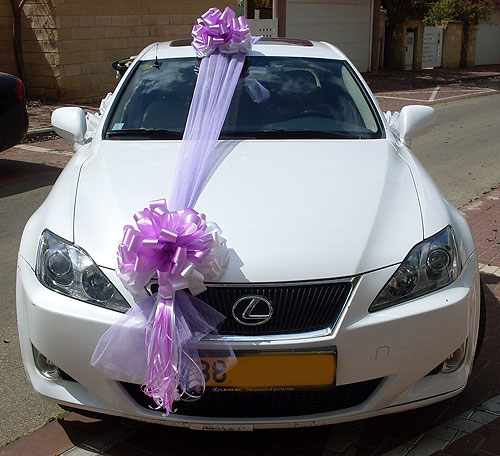 wedding car decoration Learn how to decorate your wedding car