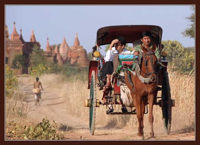 Xe ngựa Kéo ở Bagan