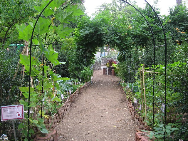 Discovery Programs - Brooklyn Botanic Garden
