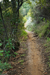 San Juan Trail, Cleveland National Forest