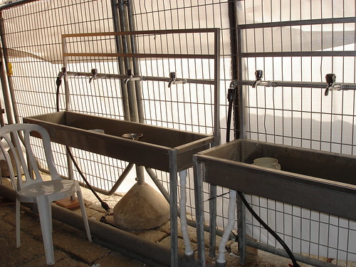 Sinks in the improvised ladies' room at the Western Wall, Passover 2010