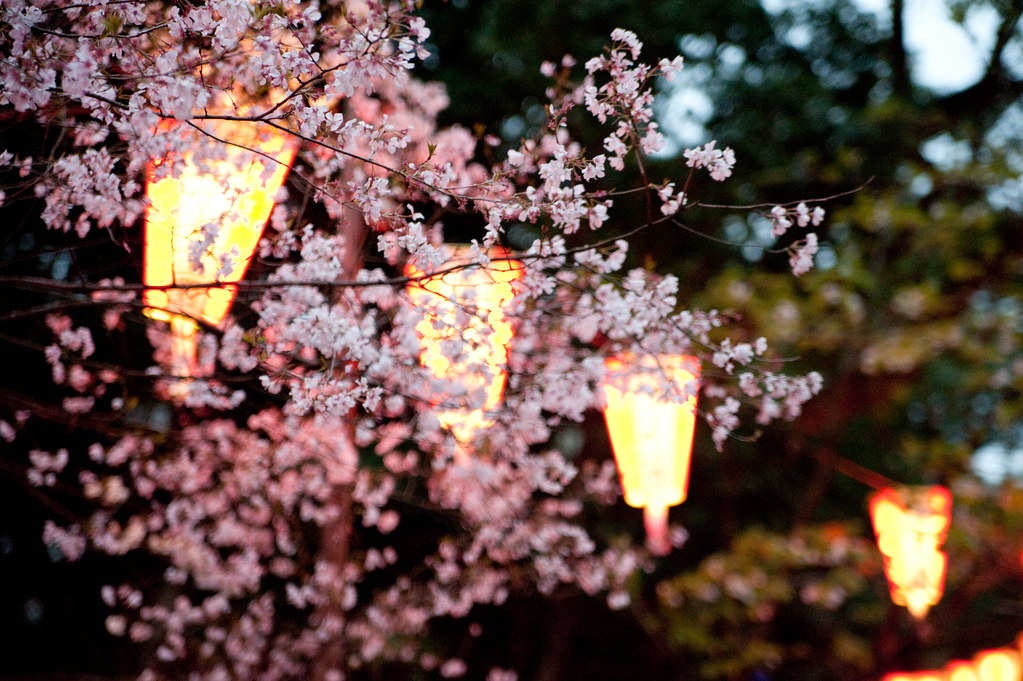 上野公園の桜 2010/03/28 DSC_9740