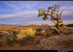 Arches and Canyonlands     National Park