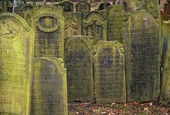 Jewish Cemetery, Hamburg-Altona