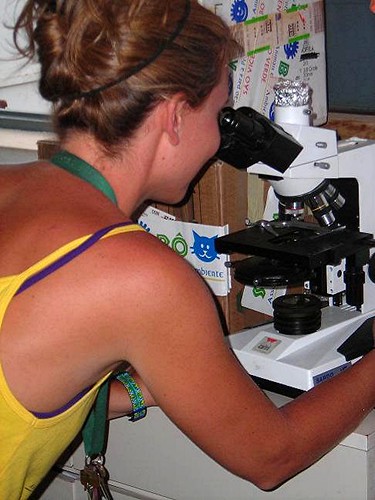 Microscopio che l'università veterinaria di Torino concede in uso a Simabô