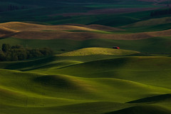 The Palouse in Spring