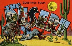 U.S.A. Regional Large Letter Postcards