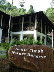 Bukit Timah Nature Reserve Exploration - 27 Dec 2009