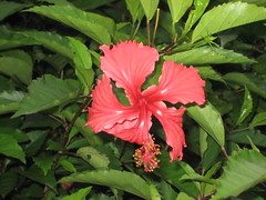 Costa Rica 2007