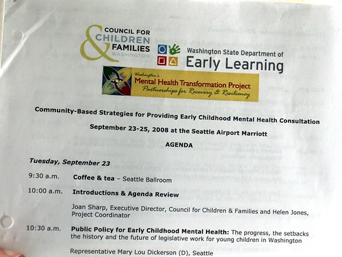 Community-Based Strategies for Providing Early Childhood Mental Health Consultation conference