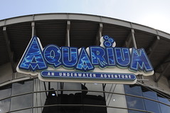 Denver Aquarium