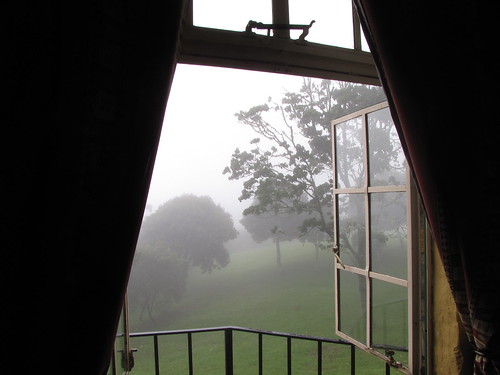 Mist through the window