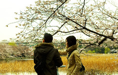 Japan spring 2010 D2X