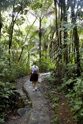 El Yunque Rainforest - Puerto Rico