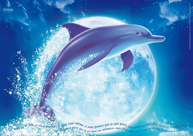 Dolphin Xxx 94