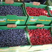berry booth