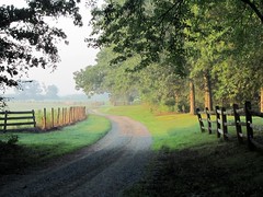 Charlotte County Landscapes/Nature