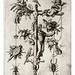 019-Letra T- Timoteo-Neiw Kunstliches Alphabet 1595- Johann Theodor de Bry