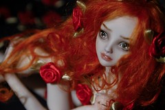 Rose Fairy (Enchanted Doll/Lightpainting Photography)