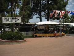 2010 Santa Barbara Orchid Fair