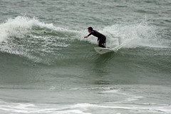 surfing summer 2010