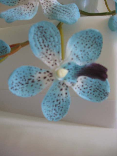 wedding cake with blue orchids