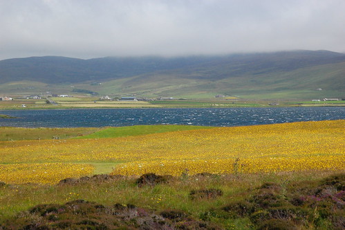 landscape, Orkney islands