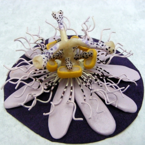 Passion Flower for Deb