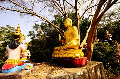 Buddha Images, Temples & Monks