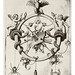 014-Letra O-La serpiente-Neiw Kunstliches Alphabet 1595- Johann Theodor de Bry