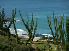 2010-5/6 New Caledonia 