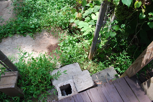 Narrow space for water to get into our backyard