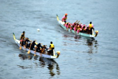 国际龙舟节 International Dragon Boat Festival