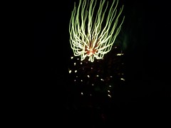 Fireworks Function