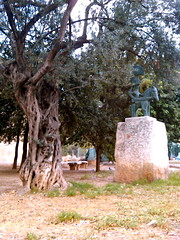 Jardín del antiguo Hospital Provincial de Valencia - MUVIM