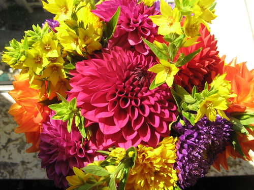 Melissa's Bouquet by yoko can't spell