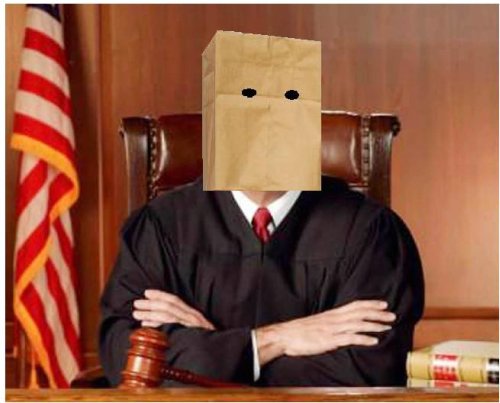 Mystery Judge