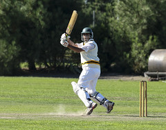 Sport - Cricket