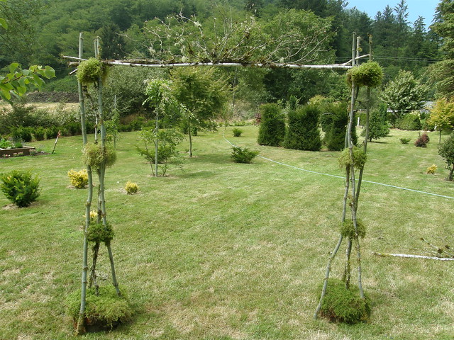 Vine maple wedding archway natural wood branches