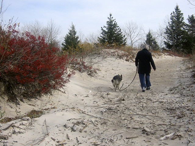 Walking the Dog at Sandy Bay