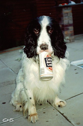 Oldie, 35mm - "Bet he drinks Carling Black Label!" May 1990 by Stocker Images