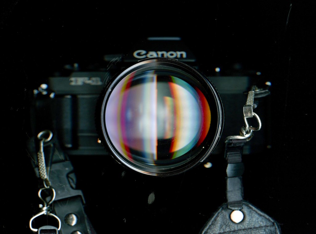 hello 85 mm / 1.2 L lens!
