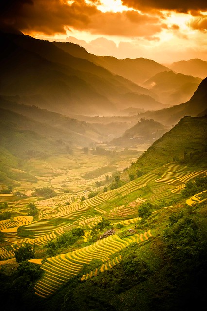 "A Land of Wonder" Vietnam~Asia~Travel~Rice~Photography~Portfolio