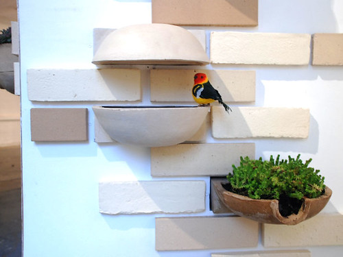 bird house design
