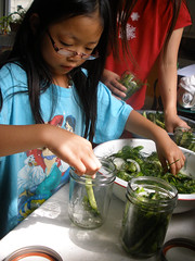 Olivia Putting Cucumbers in Jar