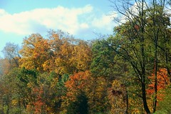 2010.10.17; Sussex County Autumn Colors