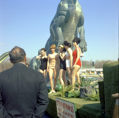 Found Photo - Girls and Dinosaurs by jeffs4653