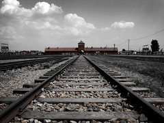 Auschwitz | Birkenau