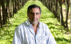 Referentes del sector vitivinícola esperan mejores condiciones para el próximo año
